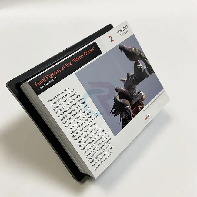 Kaip pritaikytus dizainus galima įtraukti į nuplėšiamus puslapių per dieną kalendorius?